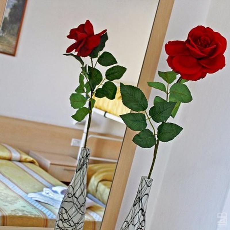 Hotel New Primula Rimini Exteriör bild